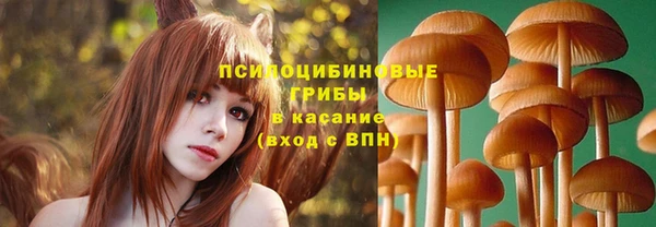 a pvp Белоозёрский