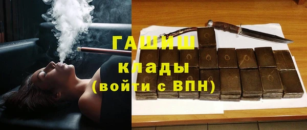 индика Беломорск