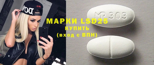 индика Беломорск