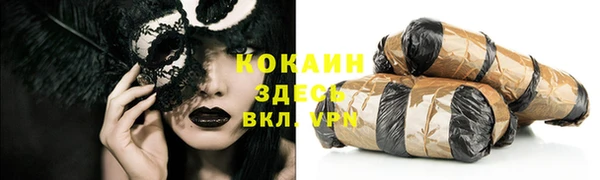 шишки Белокуриха