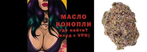 шишки Белокуриха