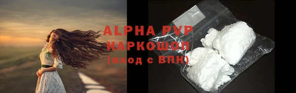 индика Беломорск