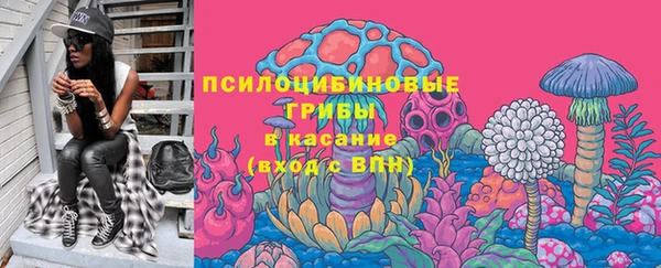 шишки Белокуриха
