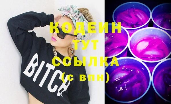 шишки Белокуриха