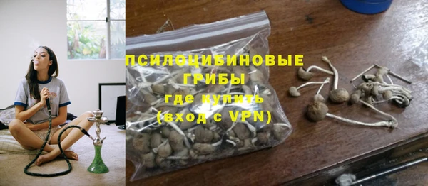 шишки Белокуриха