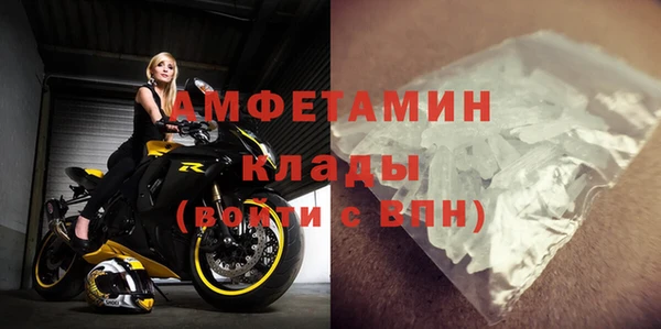 шишки Белокуриха