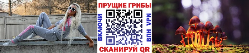 Псилоцибиновые грибы прущие грибы  Купить  Миллерово 